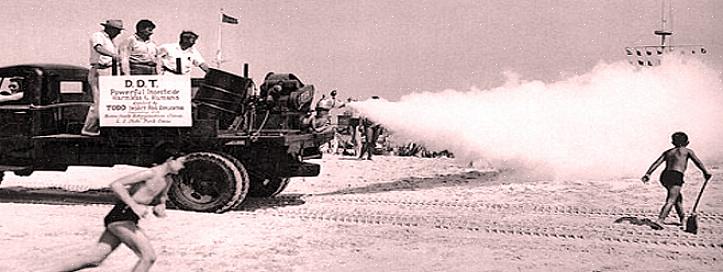 DDT גרם לצמיחה