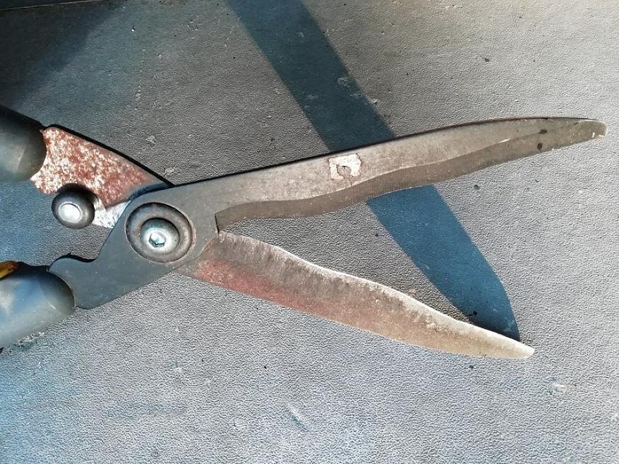 שמחליק מעל החצי התחתון והמוצק של הגוזמים