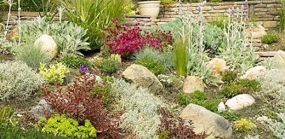"Xeriscape" ו- "Xeriscaping" הם מונחים המשמשים לשרטוט סגנון גינון המשתמש בצמחים הסובלים מבצורת כדי לסייע