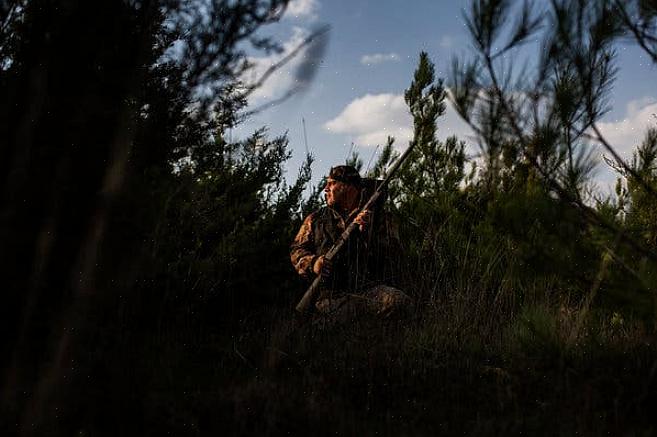 וללא המסע השנתי הזה ציפורים רבות לא היו מסוגלות לגדל את צעיריהן