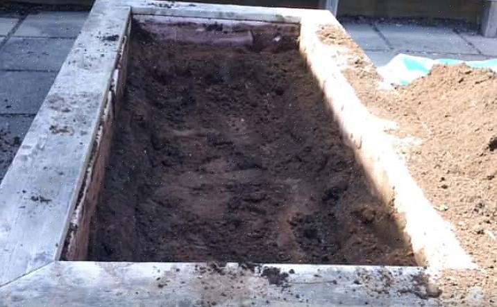 העברת האדמה מסביב חושפת חרקים שמנסים להתחפר לחורף