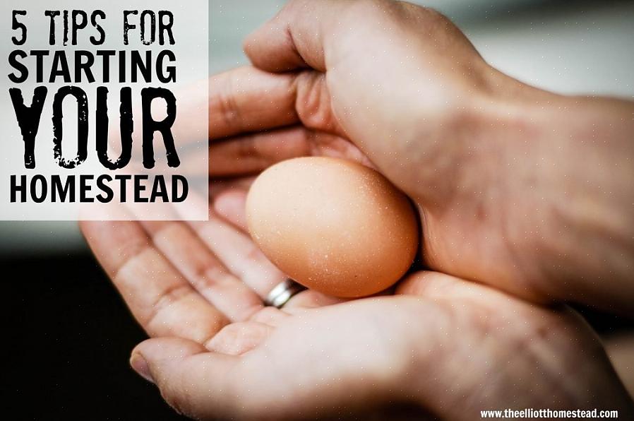 שקול להשתמש בספר כמו "The Homesteader של סוף השבוע" כדי להתמודד עם פרויקטים בסוף שבוע בכל פעם במקום לנגוס
