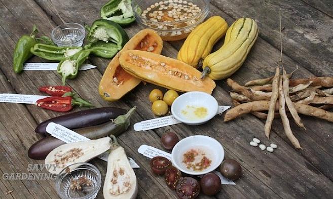 לצמחים המותאמים באופן ייחודי לגינה שלכם