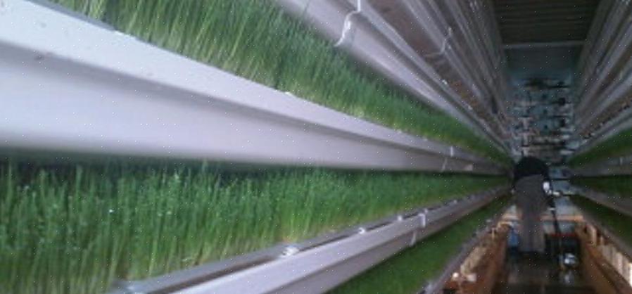מערכת מספוא DIY עשויה להיות מספיק כדי לענות על הצרכים שלך ולהתאים לתקציב שלך